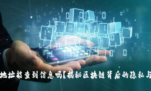 虚拟币地址能查到信息吗？揭秘区块链背后的隐私与透明性